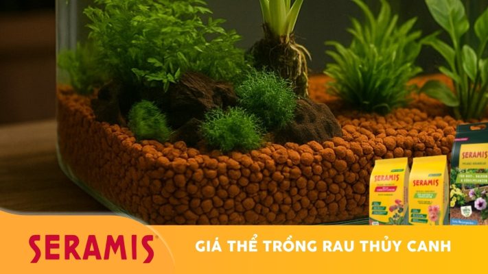 Giá thể trồng rau thuỷ canh