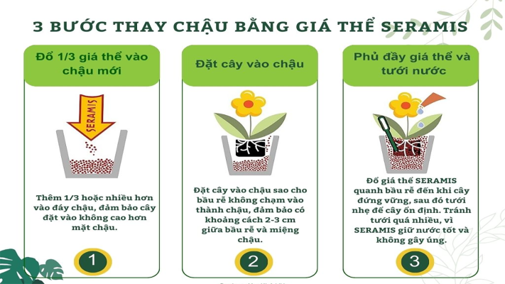 Hướng dẫn sử dụng giá thể SERAMIS đúng cách
