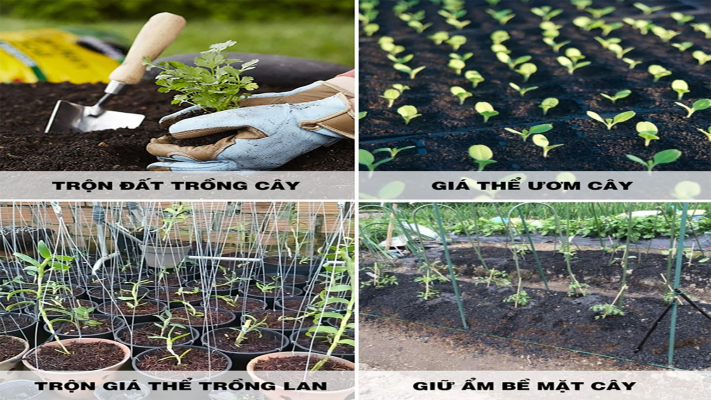 Các loại vật liệu làm giá thể trồng lan