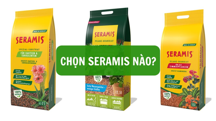 Tổng quan về giá thể SERAMIS