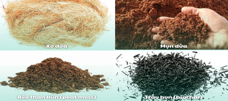 Giá thể trồng từ vật liệu hữu cơ
