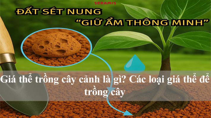 Giá thể trồng cây cảnh là gì? Các loại giá thể để trồng cây