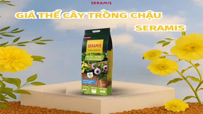 Cách trộn giá thể trồng hoa hồng chuẩn nhất