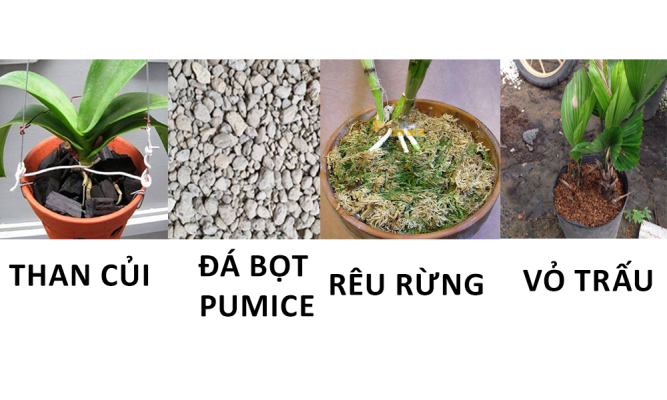 Than củi, than tổ ong-Vỏ trấu, trấu hun-Đá bọt pumice-Rêu rừng