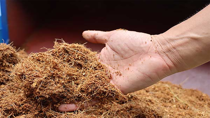 Giá thể xơ dừa là gì?