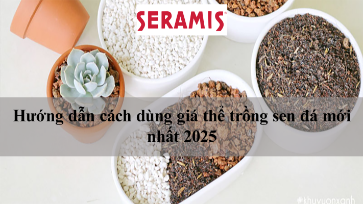 Hướng dẫn cách dùng giá thể trồng sen đá mới nhất 2025