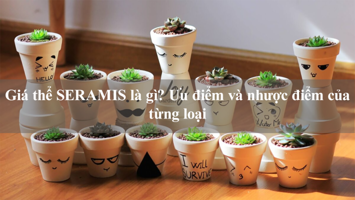 Hướng dẫn cách dùng giá thể trồng sen đá mới nhất 2025