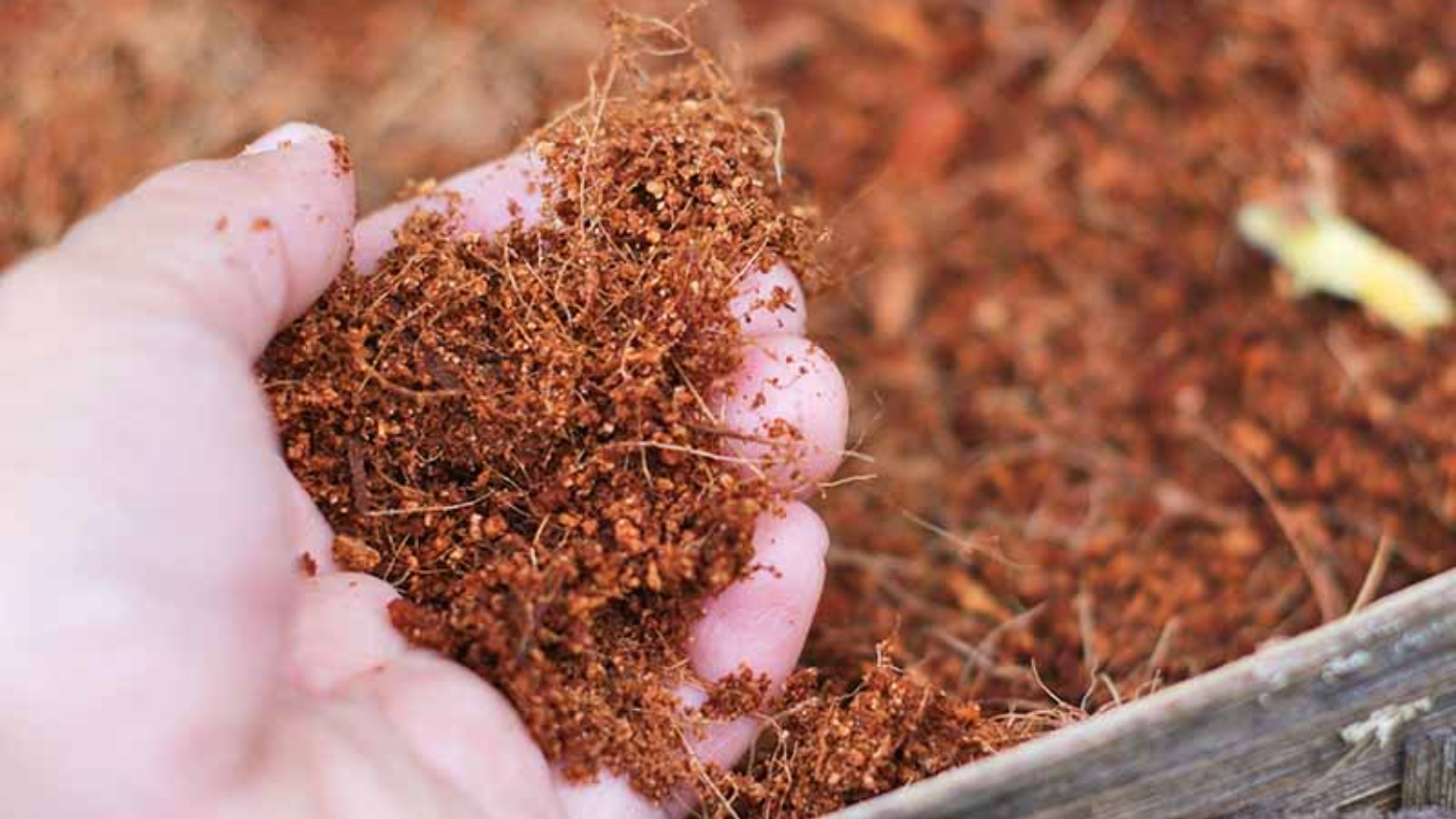 Phối trộn giá thể trồng dưa lưới chuẩn kỹ thuật