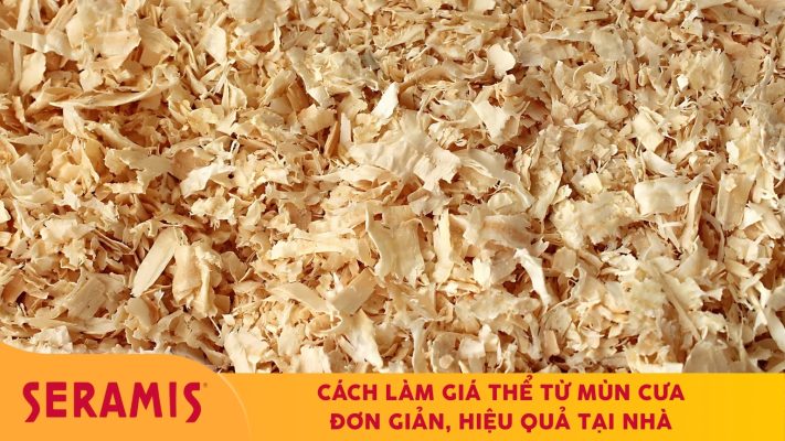 Cách làm giá thể từ mùn cưa đơn giản, hiệu quả tại nhà