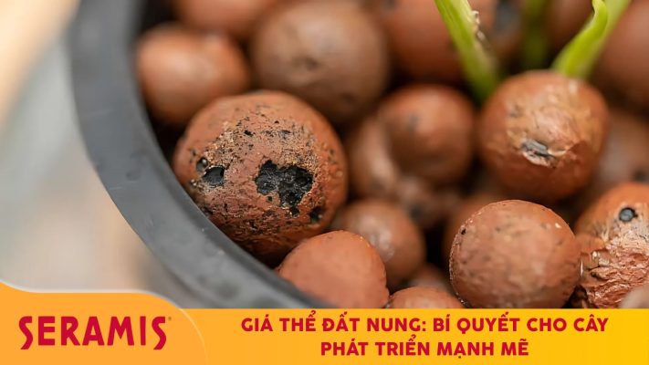 Giá thể đất nung giúp giữ ẩm và thông thoáng cho rễ cây