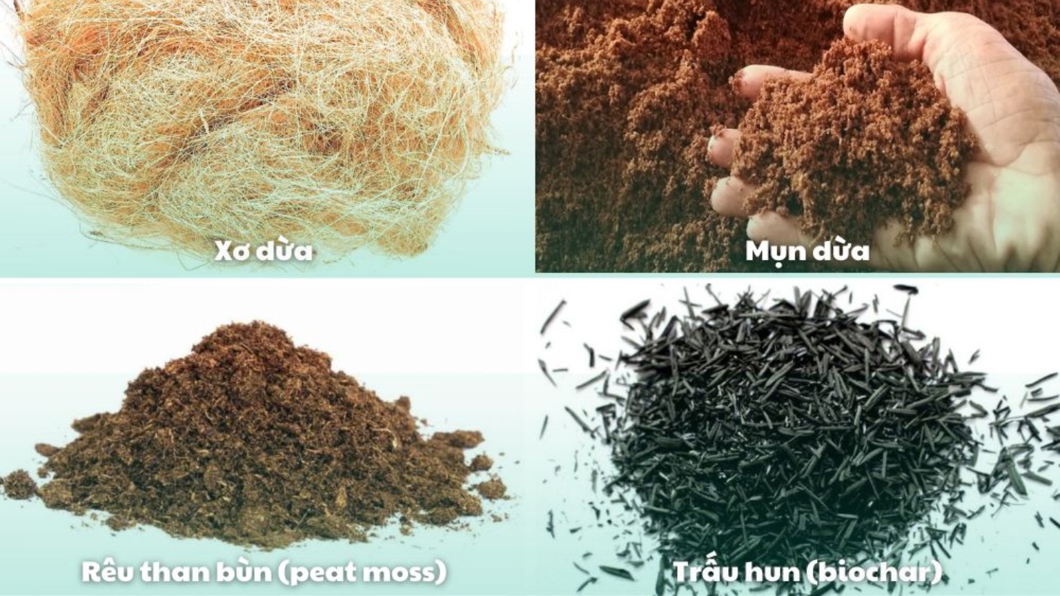Các loại giá thể hữu cơ