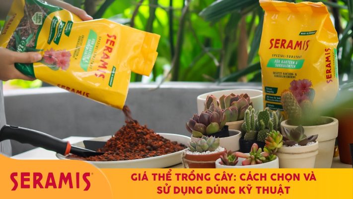 Giá thể trồng cây – lựa chọn và sử dụng đúng kỹ thuật cho cây khỏe mạnh