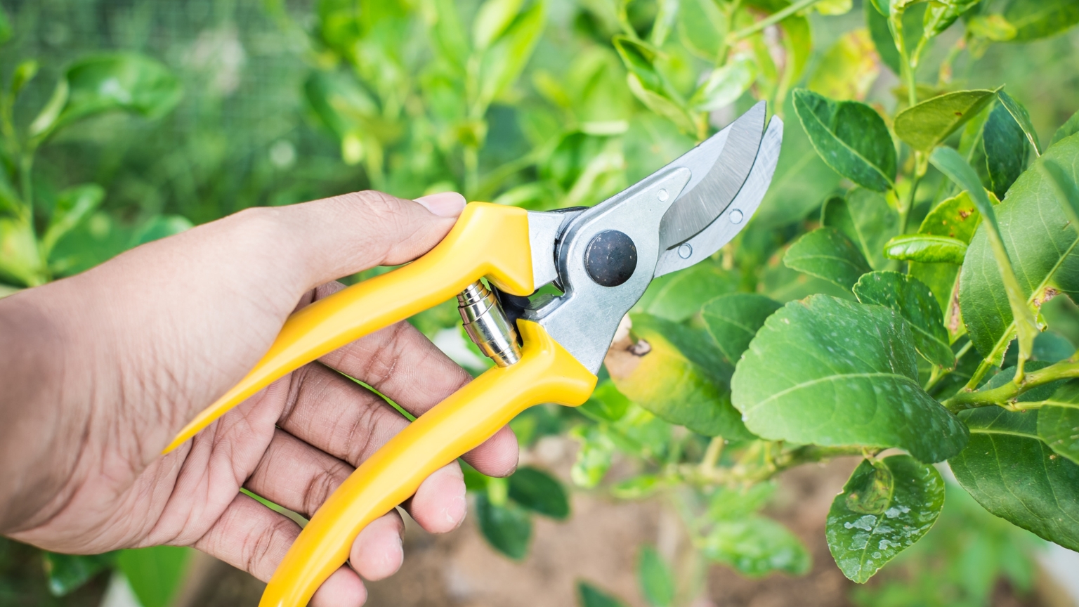 Dụng cụ cần được khử trùng