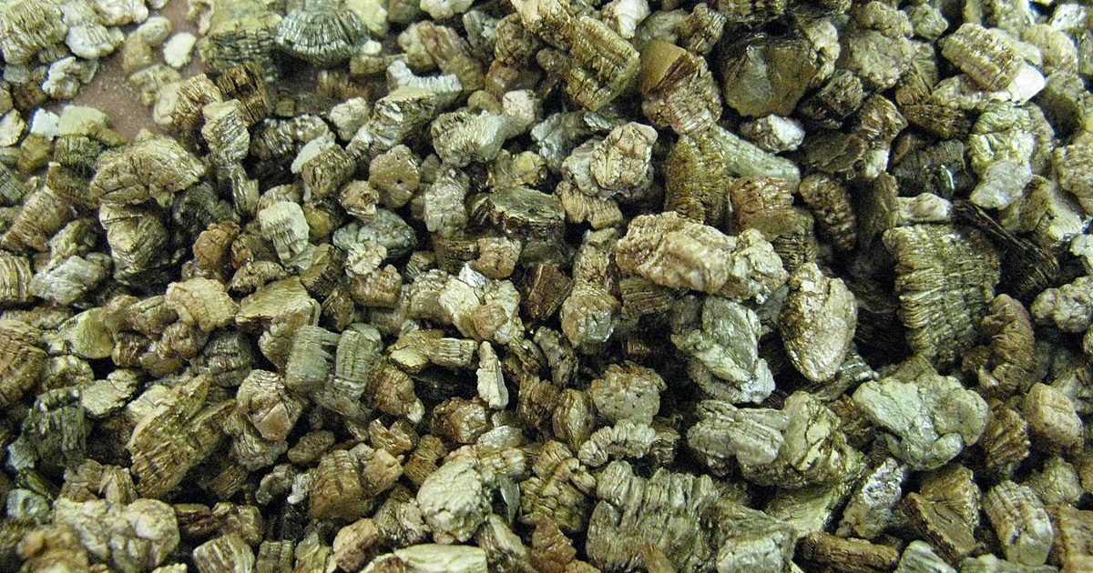 Đá Vermiculite giúp giữ nước và dinh dưỡng tốt cho cây