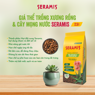 giá thể đất nung SERAMIS cho sen đá